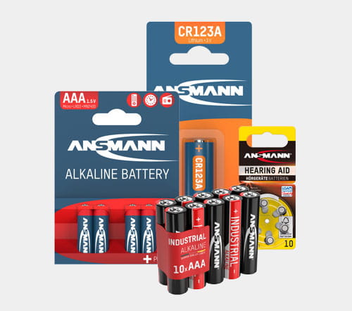 Gruppbild småbatterier