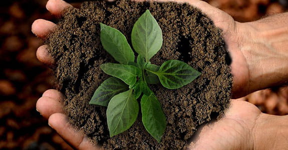 Policy kring kvalitet och miljö