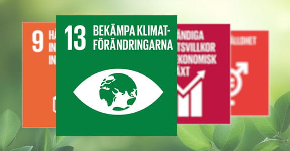 Våra hållbarhetsmål