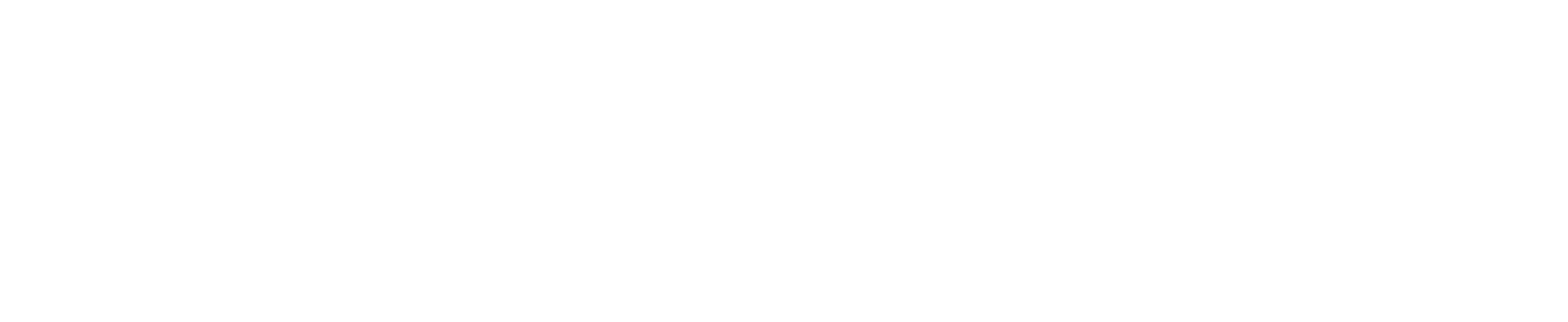 Noco logotype