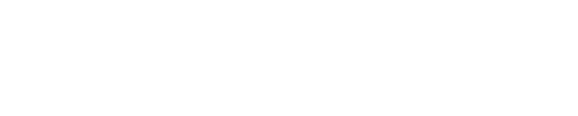 Nordmax logotype