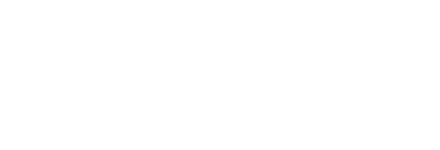 TecDoc Inside logotype