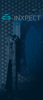 Inxpect föreläsningar