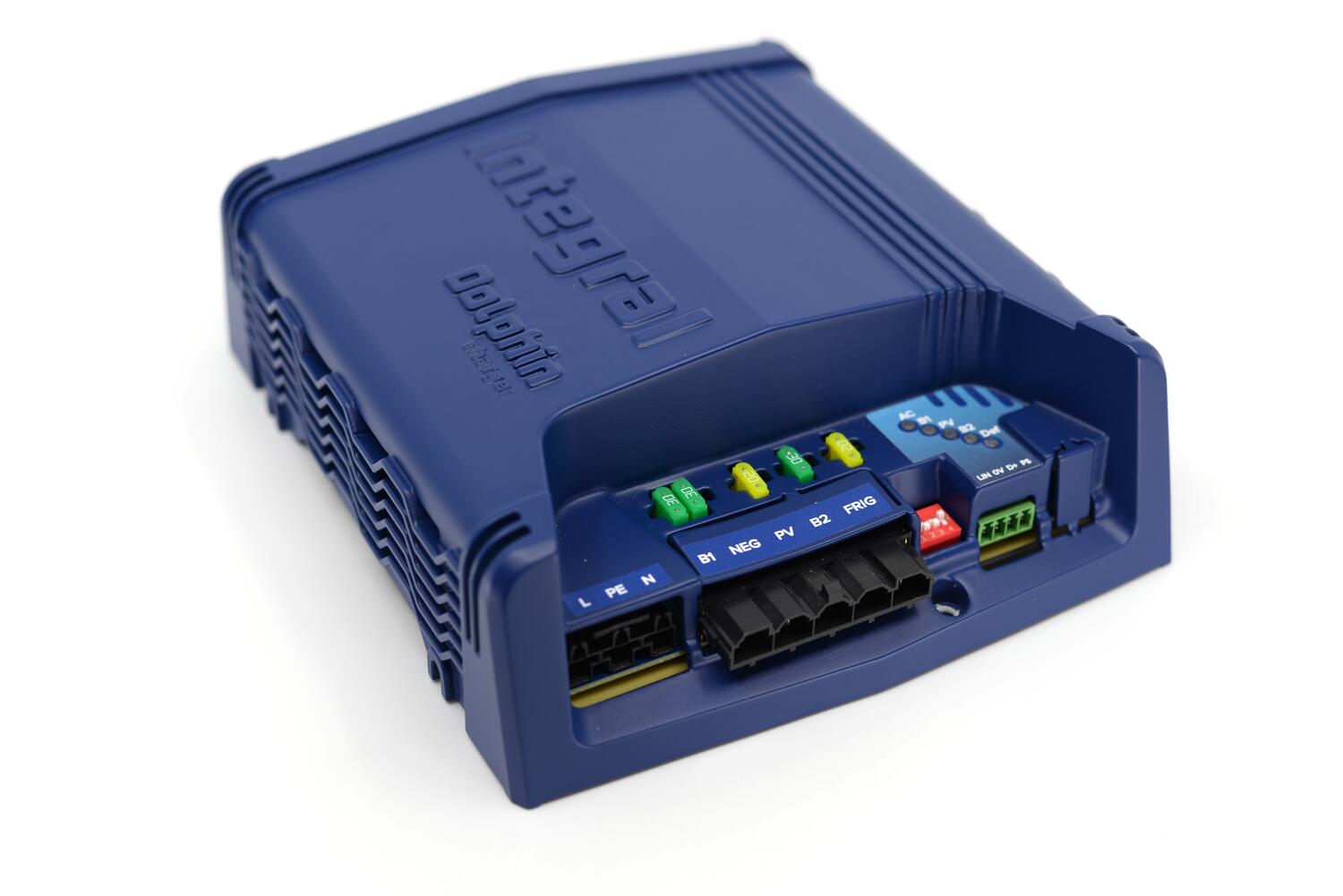 dolphin_integral_photo